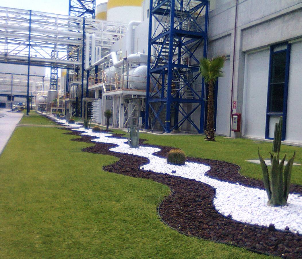Jardín con arquitectura de paisaje junto a la planta